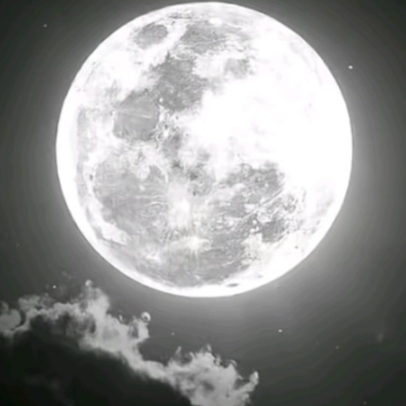 Profile picture of LadyD7